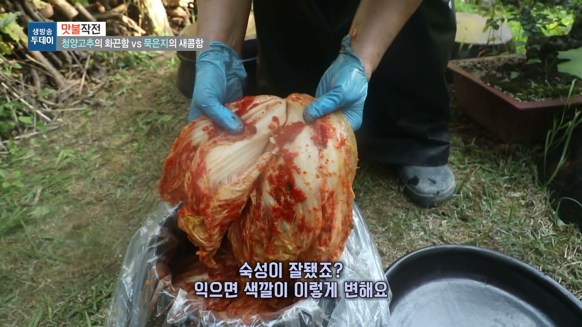 생방송투데이 묵은지등갈비찜 추가 캡처 2