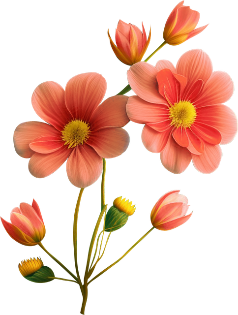 c94c150f936a6c7776c03839699fdcbd.png