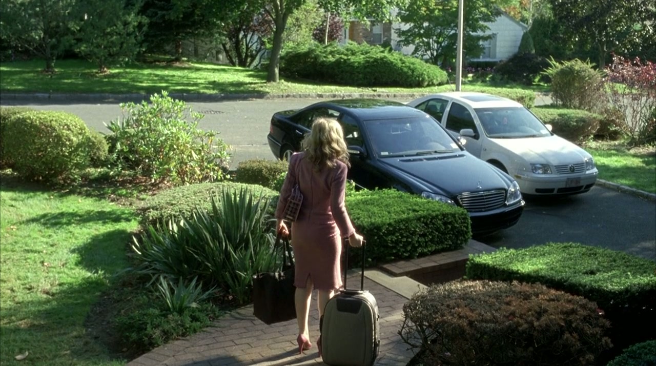 Broken Flowers Screenshot
