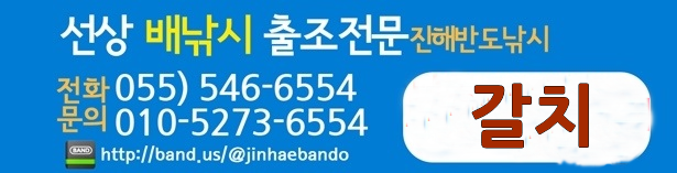 갈치