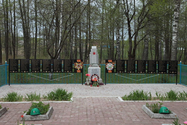 https://i.ibb.co/21rFdxPP/image.jpg