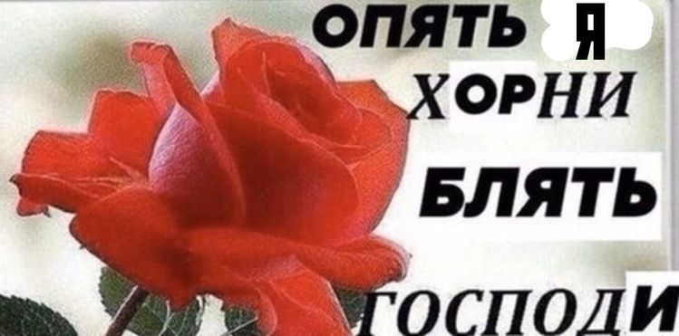 [Изображение: cbcf09db3125.png]