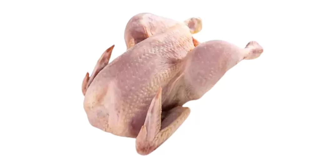 Biologische hele kip kopen bij de boer - Kies je eigen barbecue kipproducten-www.Vleeskopenbijdeboer.nl