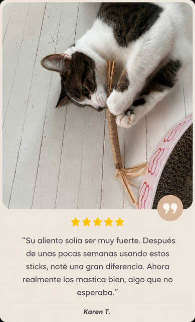 Gato usando stick de Silvervine - Karen T.