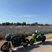 IMG-9266