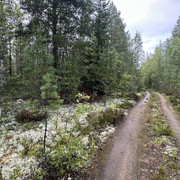 IMG 4809