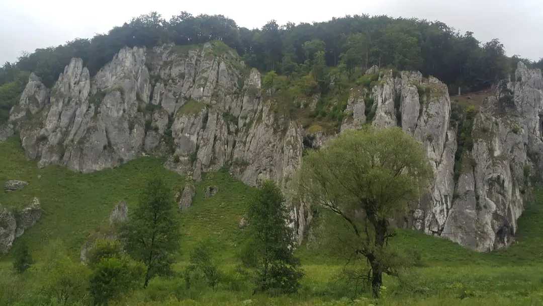 Cum ar putea Bucureștiul să devină o adevărată comunitate?