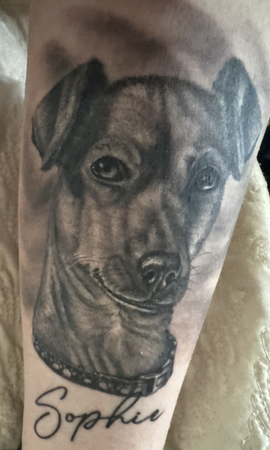 IMG-3040