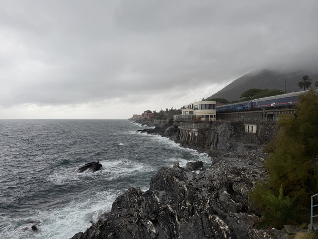 IMG-0878
