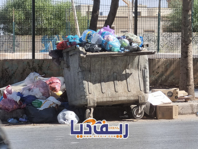 Photo 1785955250689