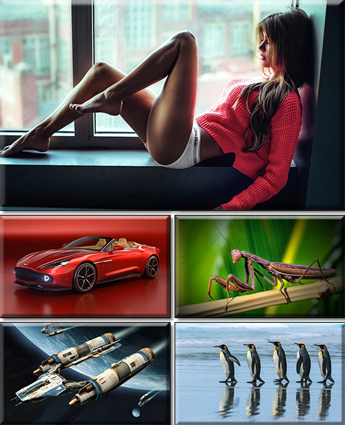 Computer Desktop Wallpapers Collection. Part 2959