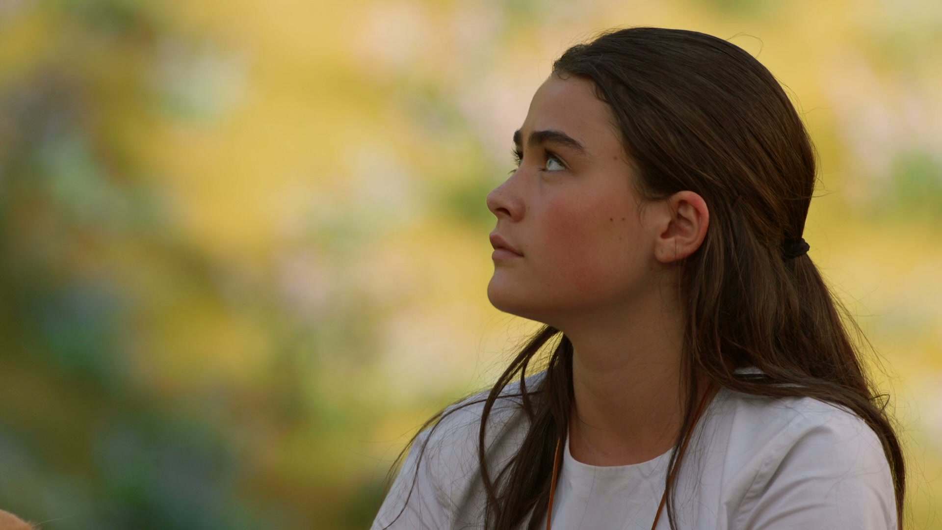 The 100 Screenshot