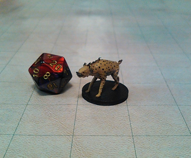 Hyena.jpg
