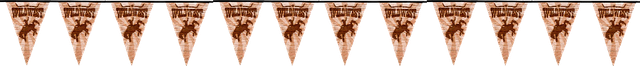 HOE DOWN (4).png