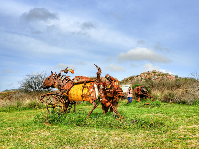 DSCN4931.jpg