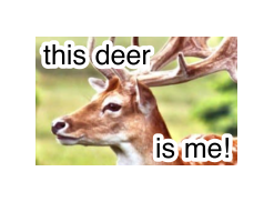 Untitled258 20260606134035.png