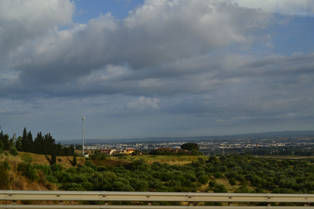 DSC-0785