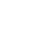 37406698-SNEG4-IN