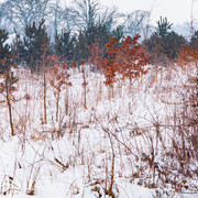 L1021435