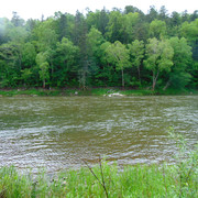 DSC04701