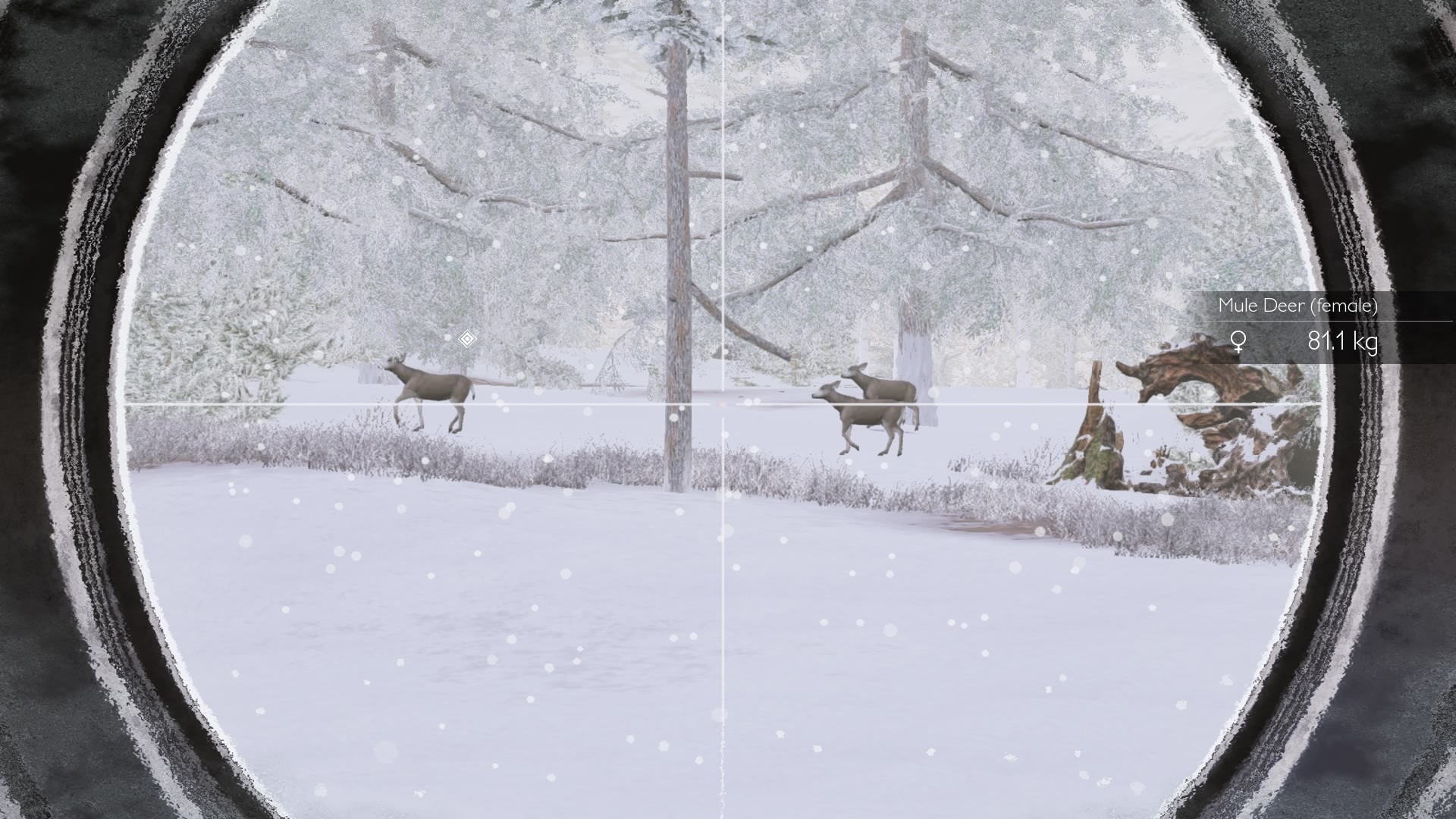 Hunting-Simulator-20250415113553.jpg