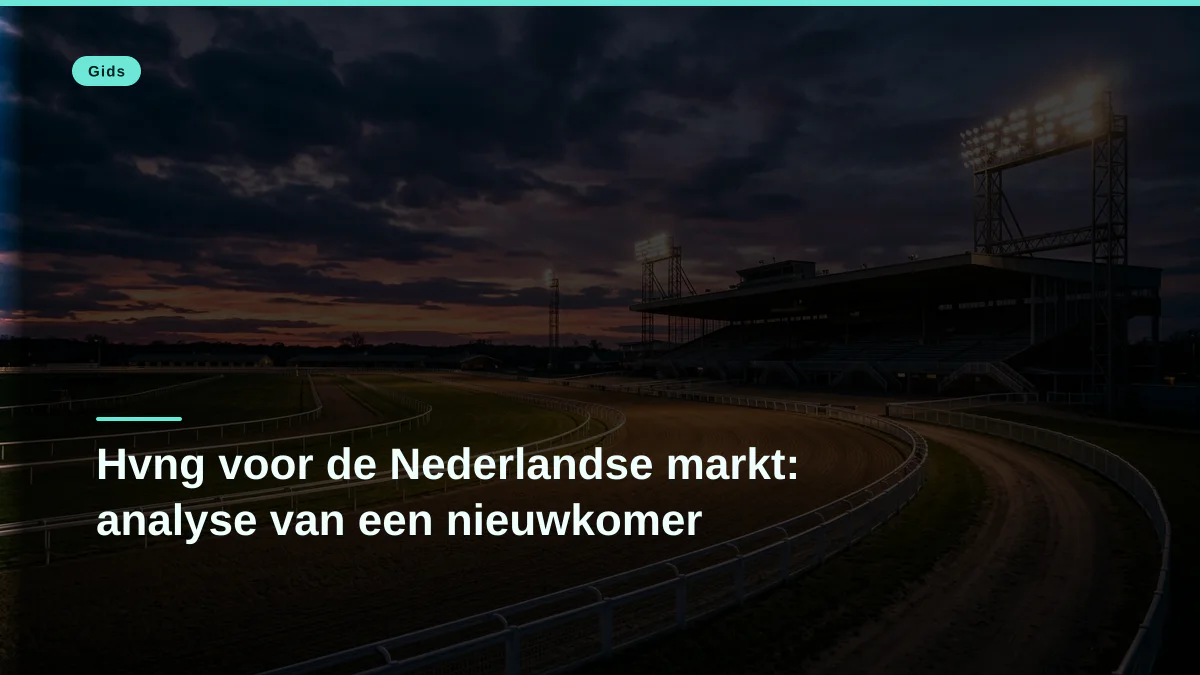 Hvng voor de Nederlandse markt: analyse van een nieuwkomer