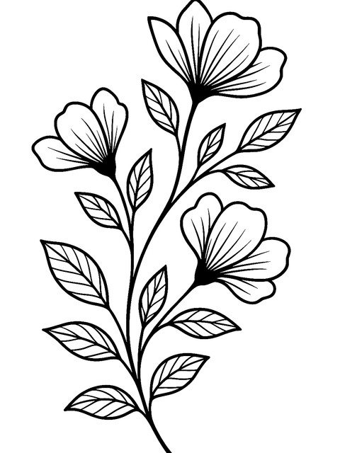 5b2e17b2e2bcd5d706df91f2afc08c6c.jpg