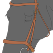 suitset2 1 2