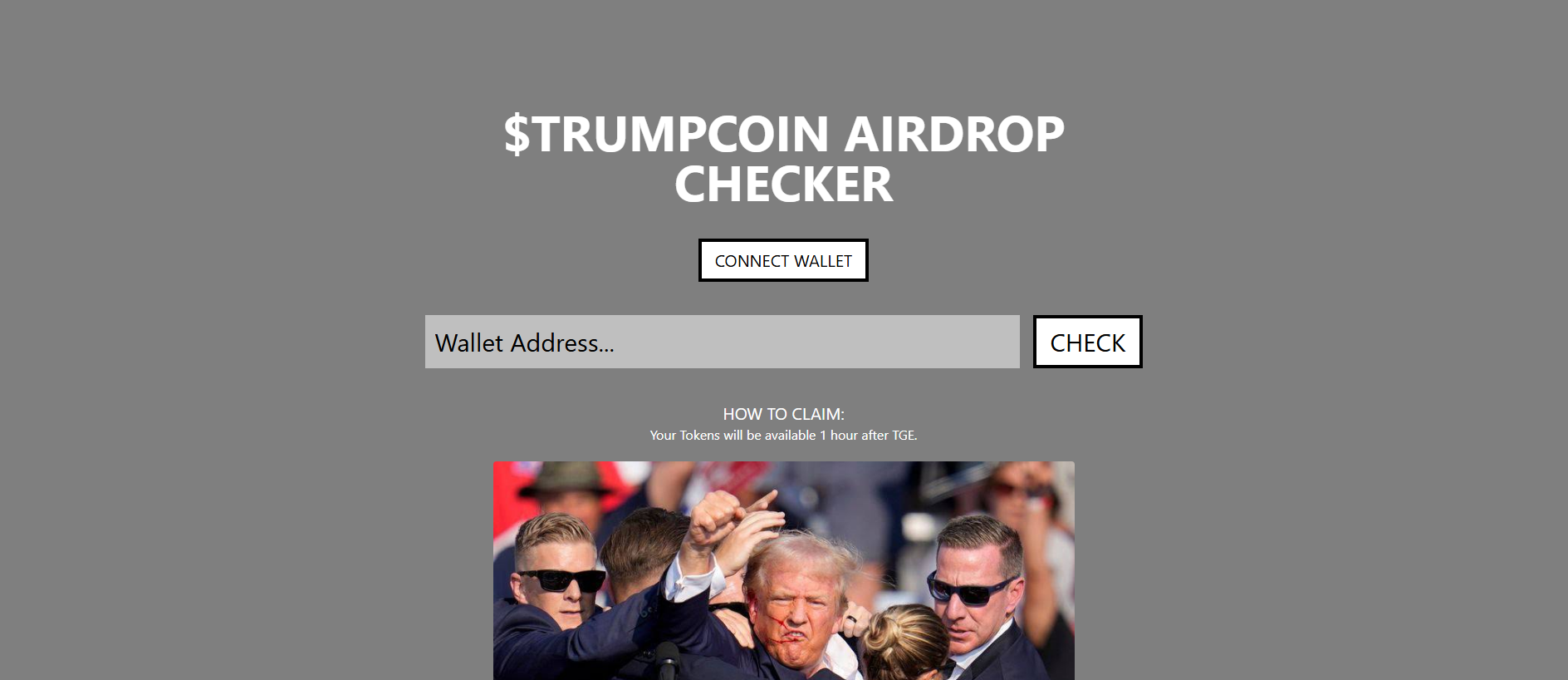 Stored capture of trumperanet.pages.dev