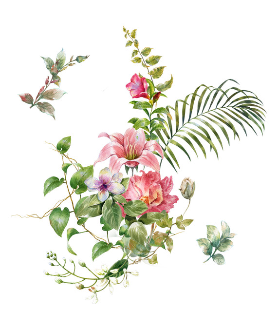shutterstock 710527663.jpg