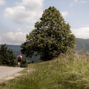 IMG-0462