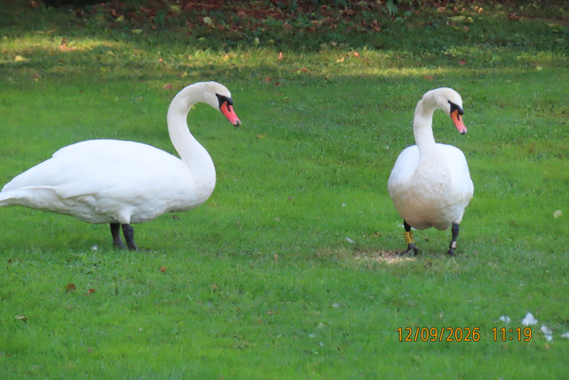 IMG 3446.jpg