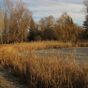 2009 год