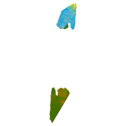 30 556980
