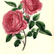 b23d3a5841d8a22967c83f2bf62f3581