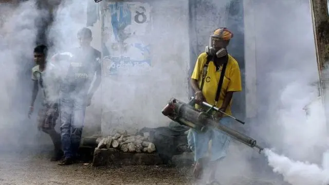 sri-lanka-records-over-47-000-dengue-cases-and-29-deaths-so-far-this-year