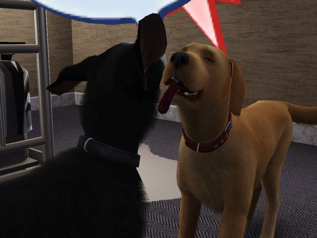 Screenshot-537.jpg