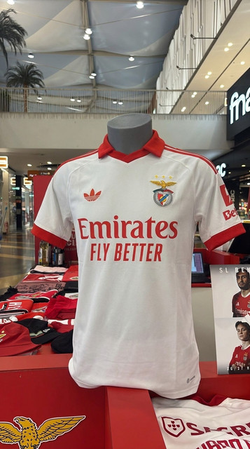Benfica jersey pattern removal