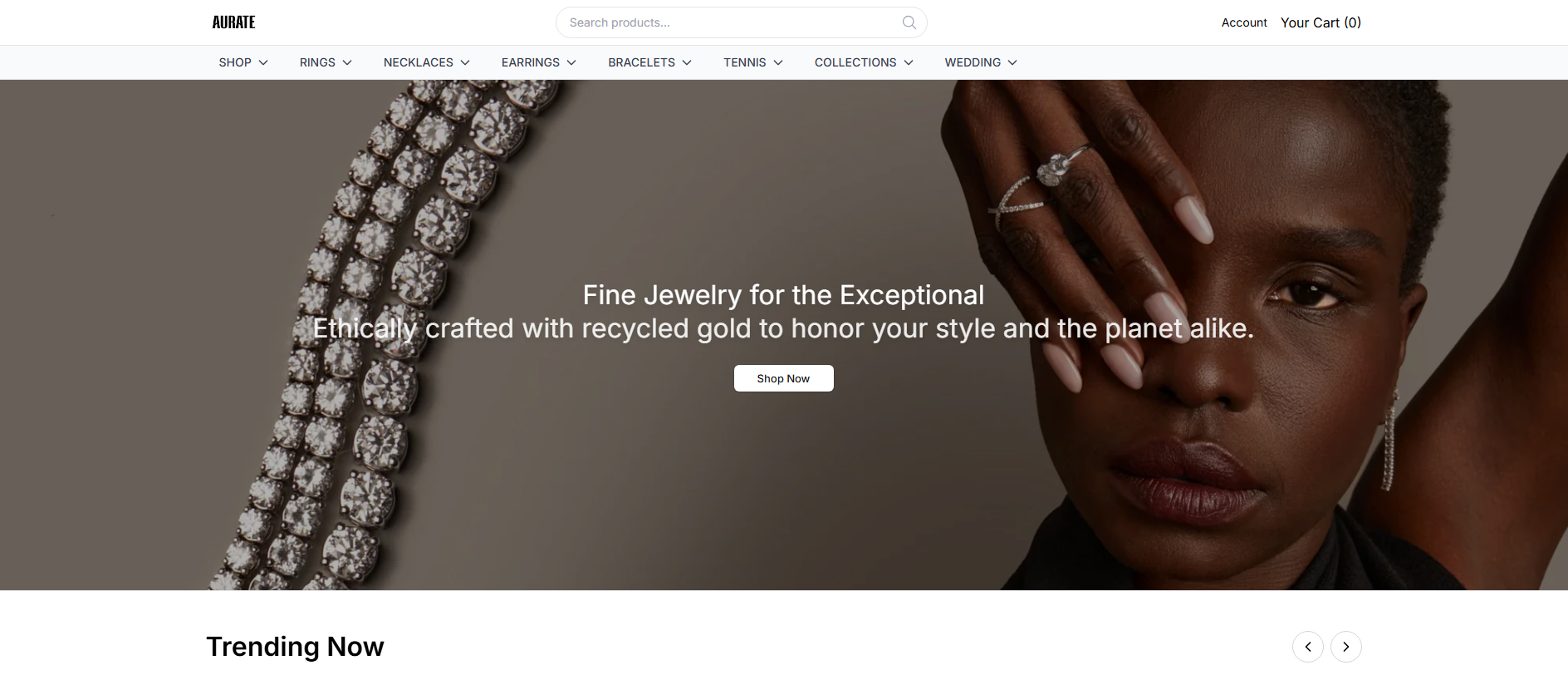 Stored capture of auraexclusive.shop