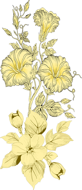 0506ed2c095d74ef2505ea8dda714196.png