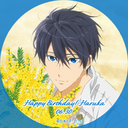 icon1-haruka