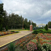 comp-IMG-3685