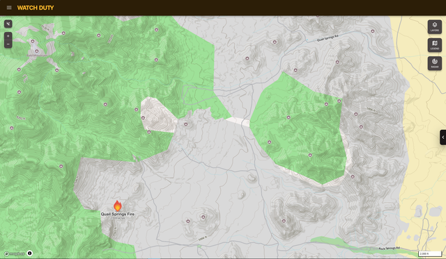 quail spring fire