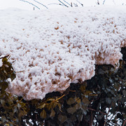 L1021439