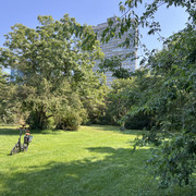 IMG-9974