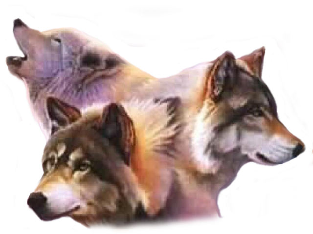 0gsjh886