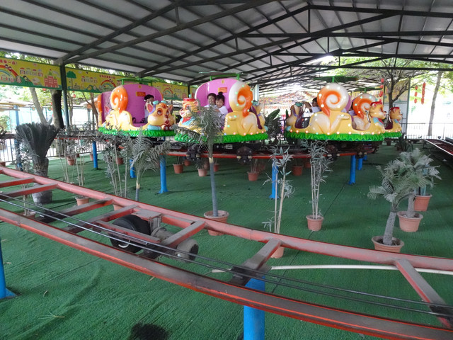 DSC00248.jpg