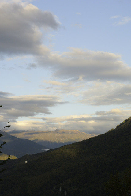 DSC7134.jpg