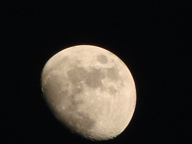 DSC04641.jpg
