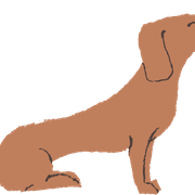 Dachshund-brown